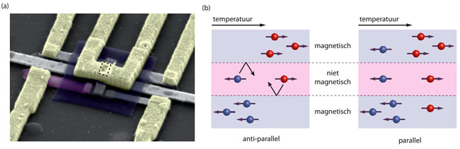 (a) In this picture, taken with a scanning electron microscope, the nano pillar is located at the spot marked by the dotted rectangle. A platinum heating element (the rearmost of the three grey strips) causes a temperature difference. A nano thermometer, comprising a nickel-copper alloy (purple) and platinum (foremost grey strip), detects the difference in conduction. The middle grey strip is a platinum connector. The remaining coloured parts are gold connectors. (b) Diagram of the spin temperatures in the nano pillar. On the left is the situation when the magnetizations in the two magnetic layers are anti-parallel. The temperature of the spins on the heated side (top) is higher than that of the second magnetic layer on the cool side (bottom) – a difference in temperature is built up between the two differing spin directions. Given that spins find it hard to enter a magnetic material with a magnetism opposite to the spin direction, conduction in the anti-parallel situation is more difficult. In the parallel situation (right), hot electrons find it easy to move from top to bottom, and cold electrons move from bottom to top. This results in high conductivity.