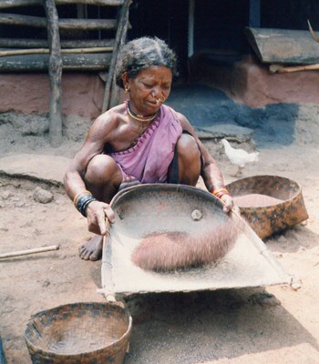 Adivasi woman from Odisha winnowing finger millet (copyright P. Berger)