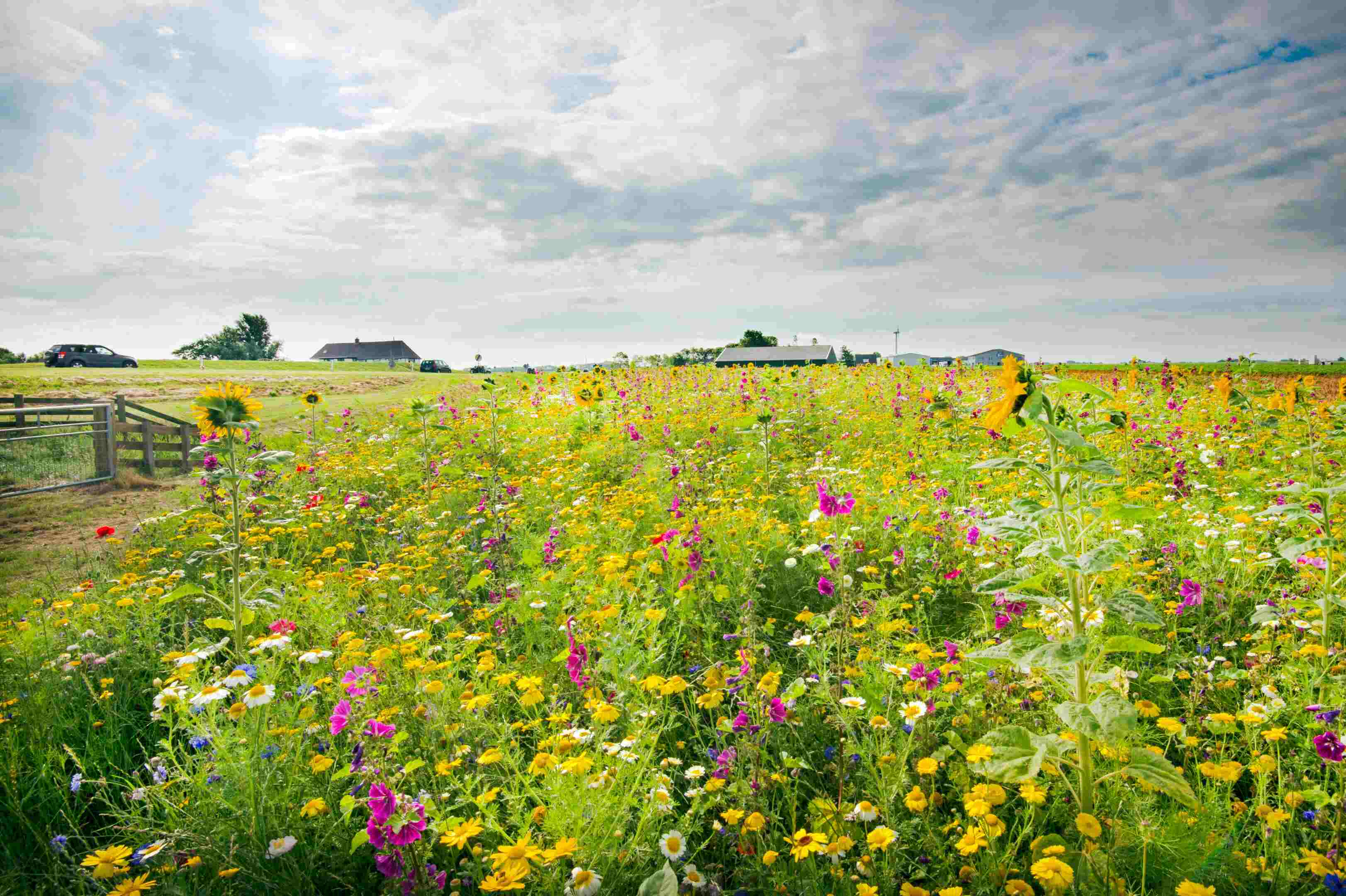 Regenerative agriculture