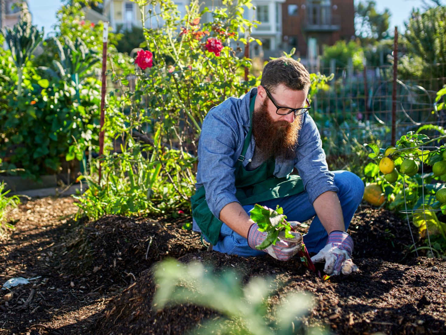 What would a healthy society of the future look like?