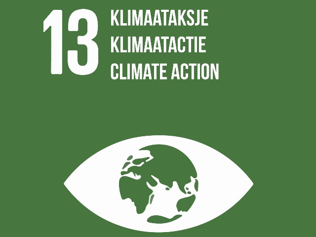 SDG 13