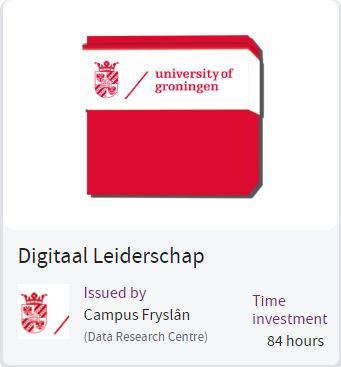 Badge Digitaal Leiderschap