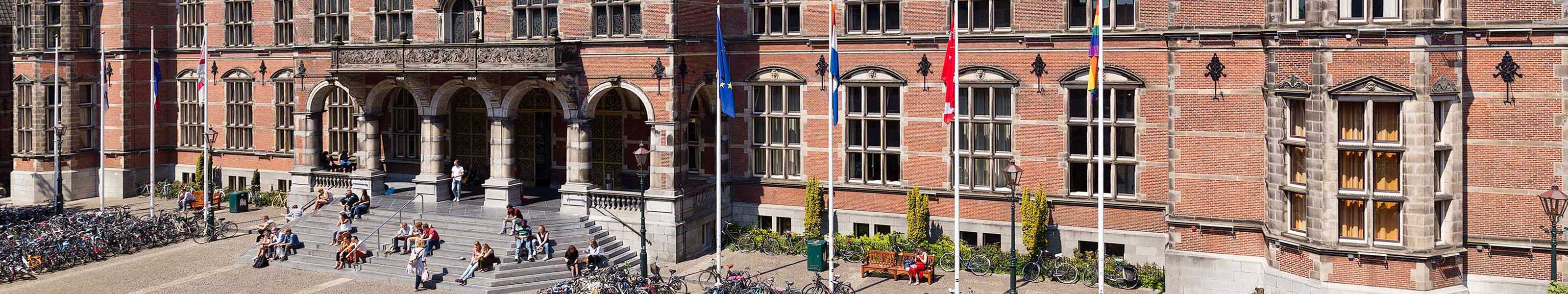 Header image University of Groningen Student Blog