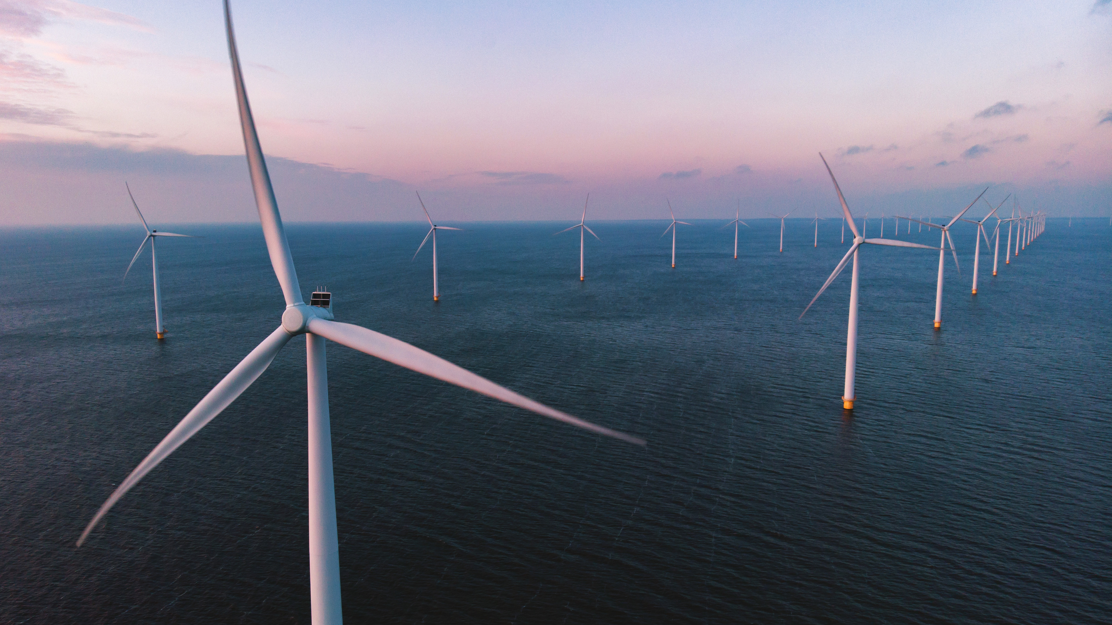 Wat zijn de ecologische gevolgen van offshore windparken?