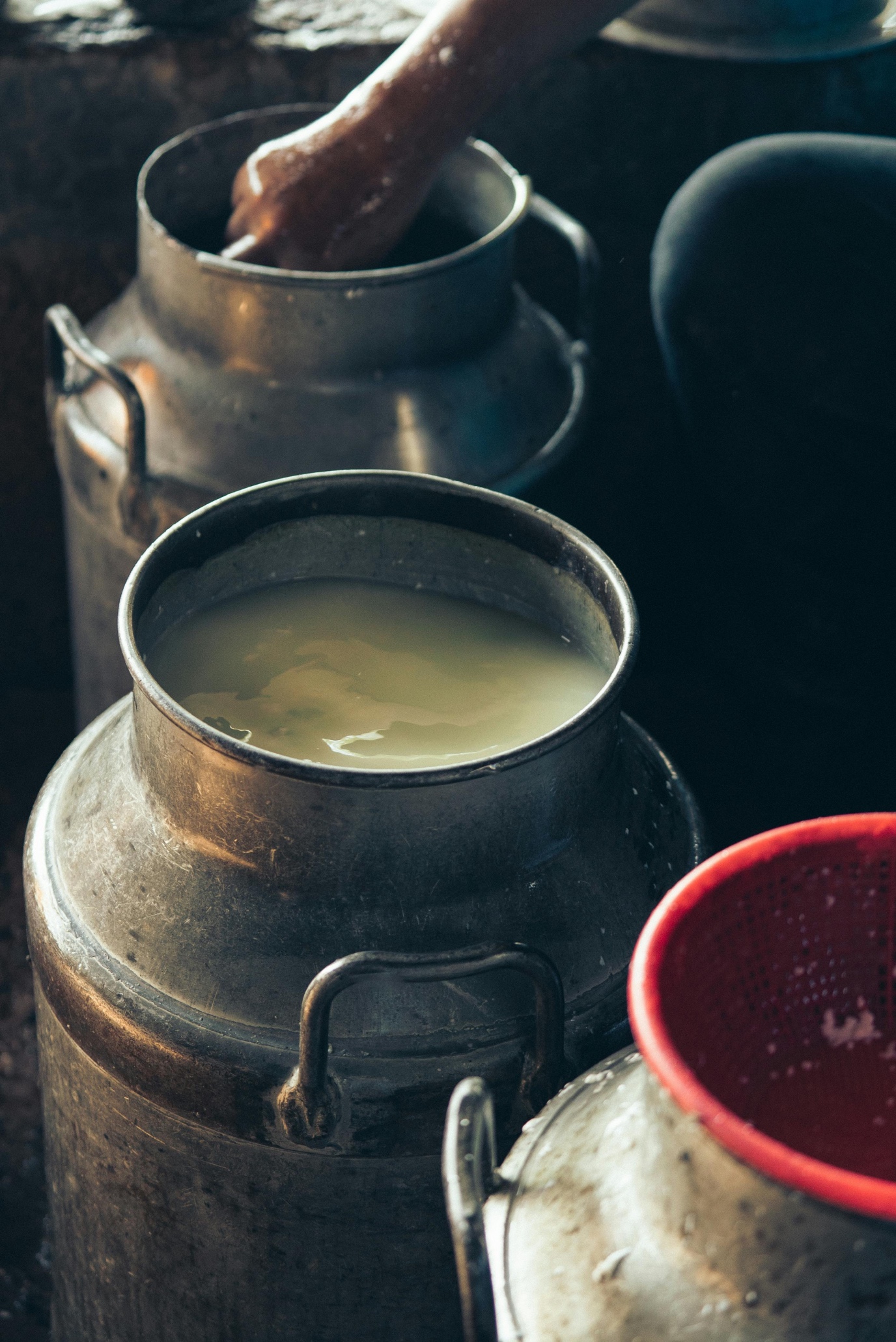 In schoonmaakmiddelen zitten enzymen die vuil en vetten afbreken. Photo Karolina Grabowska/Pexels