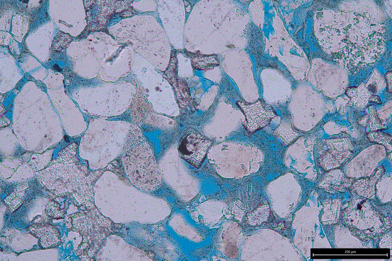 Microscopic image of mudstone. Blue shows the spaces wtihin which hydrigen is stored