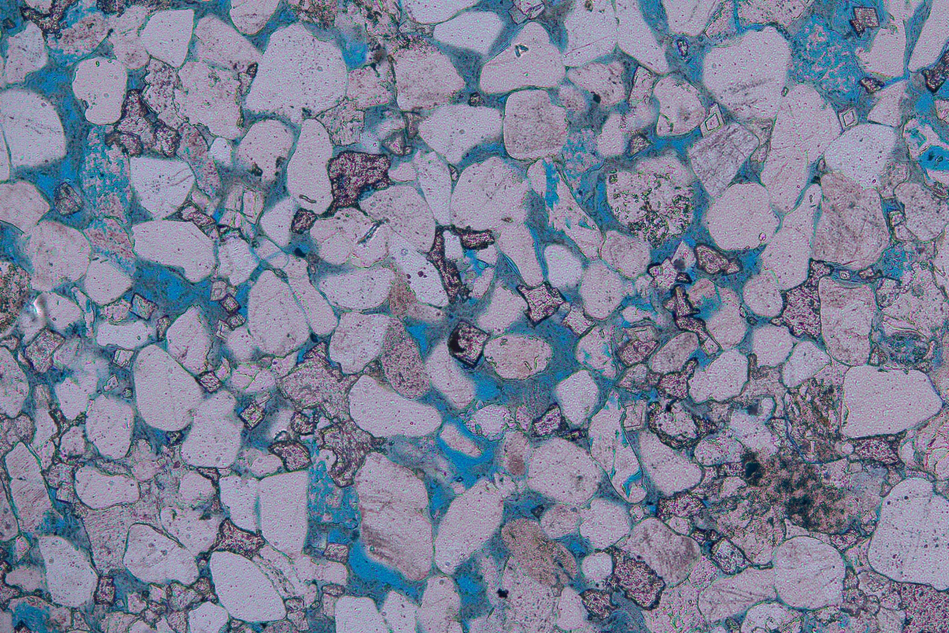 Microscopic image of mudstone
