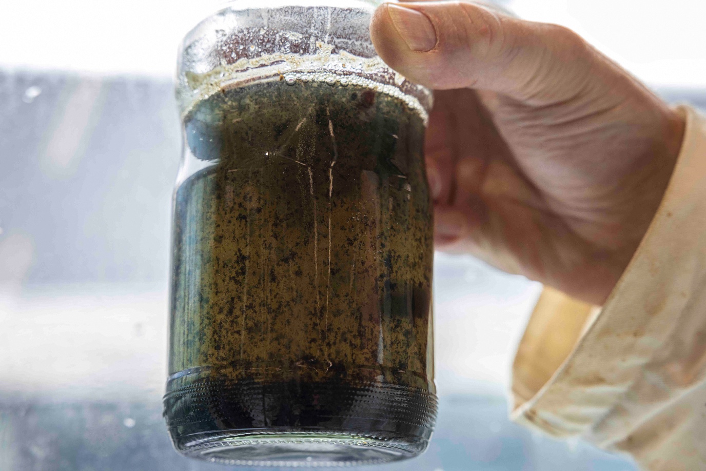 na een tijdje doen de bacterien hun werk, gescheiden afvalstoffen, zakken naar de grond, waardoor schoner water terug blijft