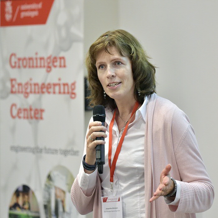 Prof Dr Ir Jacquelien Scherpen