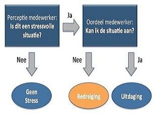 Werkstress: alleen maar een bedreiging, of ook een uitdaging?