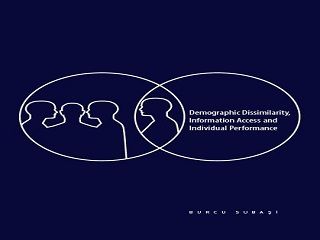 The effect of dissimilarity on performance