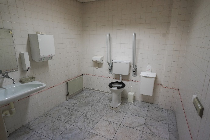 Wheelchair-friendly toilet in building part 1313