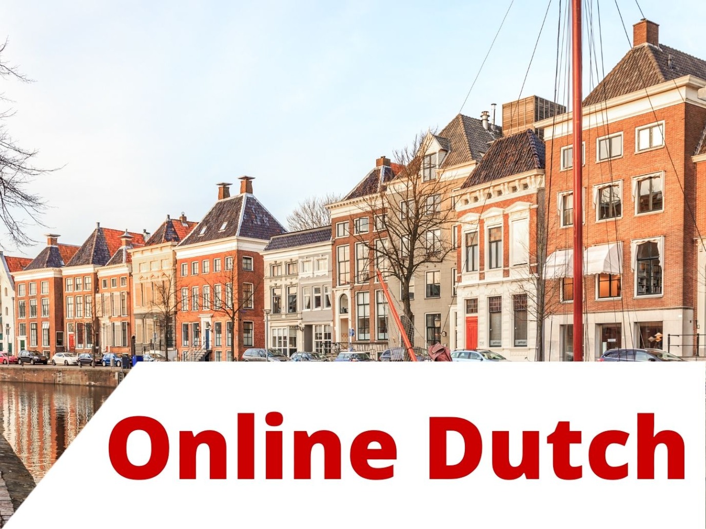 Zelfstudie met online bijeenkomsten