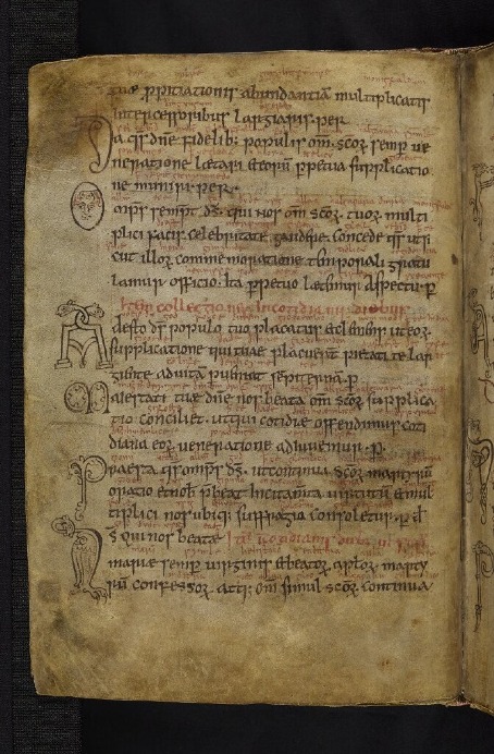 a page from the Durham Ritual