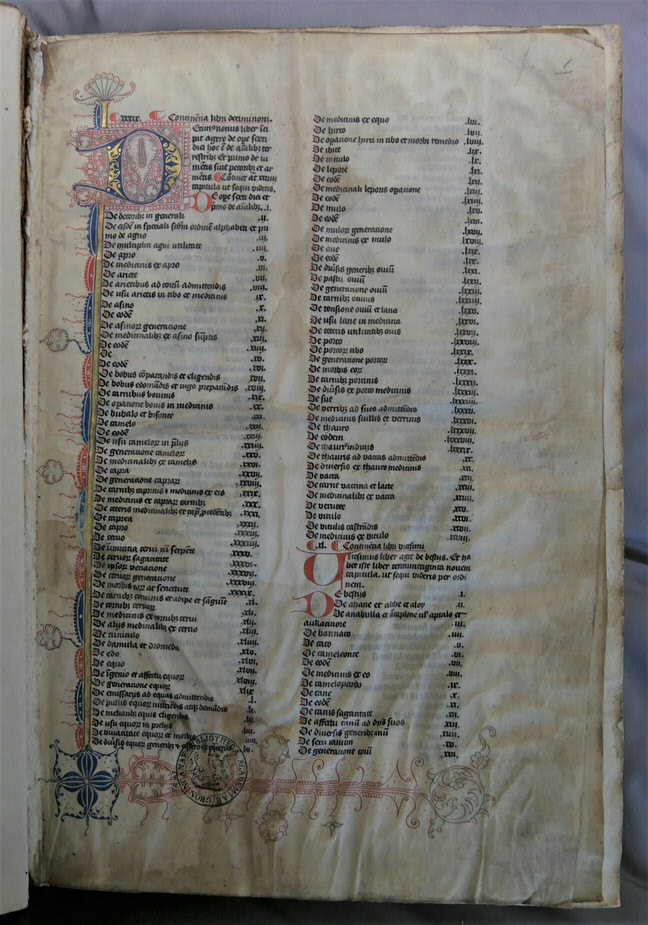 Inc. 189. Speculum naturale van Vincent van Beauvais waarin de eerste folia zijn vervangen door een perkamenten katern met handgeschreven tekst.