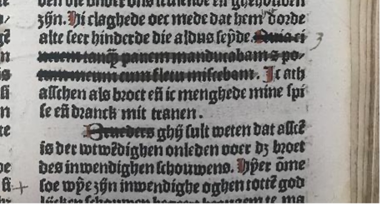 De “susteren” hebben elke verwijzing naar “brueders” en al het Latijn in de gedrukte tekst doorgestreept.
