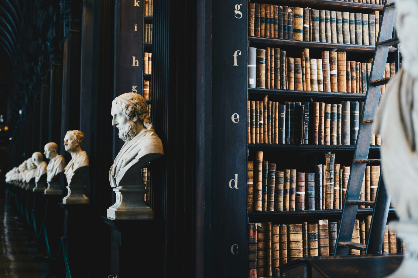 Shelves filled with old books from a prestigious-looking library with sculpted busts of academics