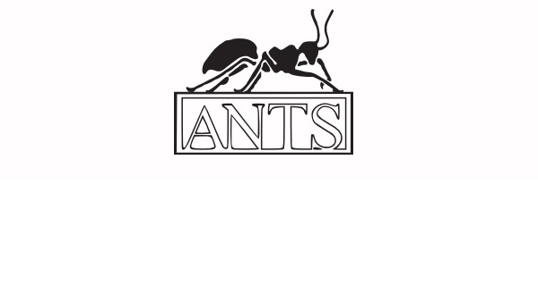 July 2026  Algorithmic Number Theory Symposium (ANTS)