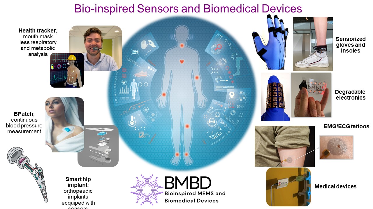 BMBD research topics shown in pictures