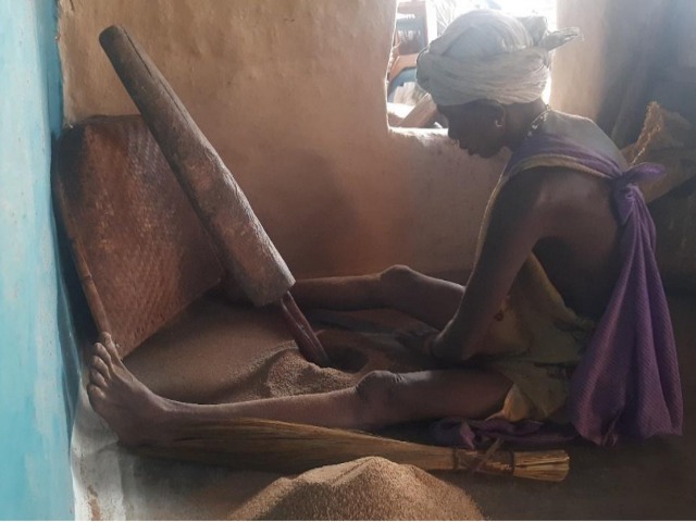 Processing of little millet (photo by Ashutosh Kumar, 2023).