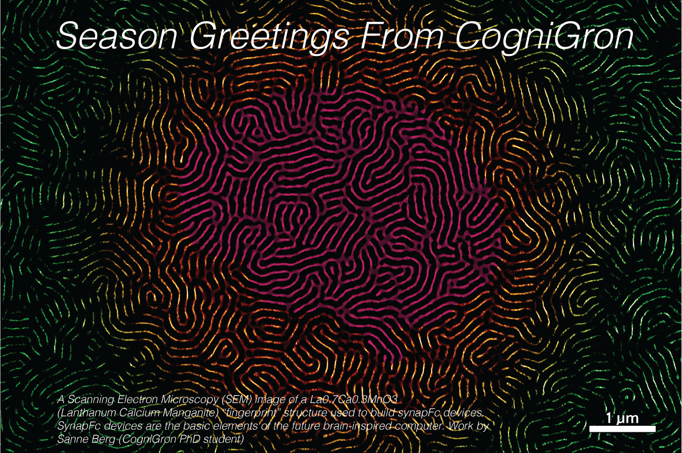 Season Greetings