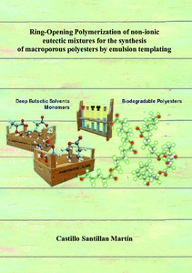 PhD thesis Martin Castillo Santillan