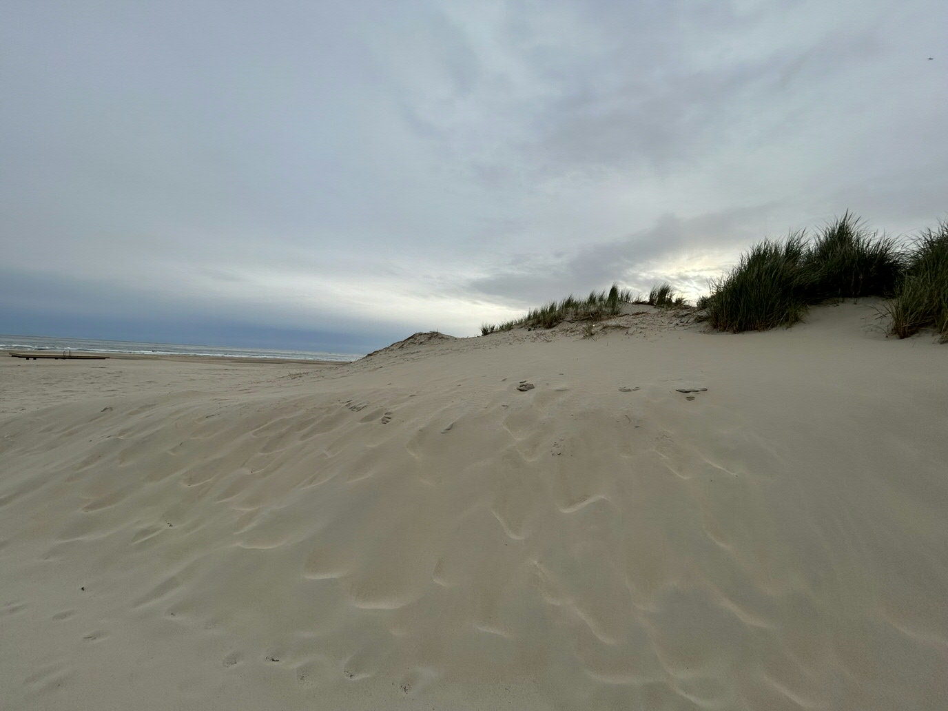 Vlieland dunes