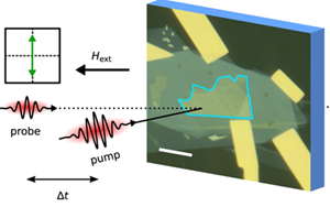 Figure 1: Optical excitation of a magnon mode in a 2D magnet using an optical pump, and detection of the magnon mode propagation using an optical probe.