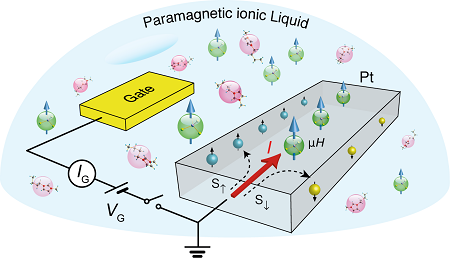 Schematic of Platinum transistor with paramagnetic ionic liquid gate. | Illustration L. Liang
