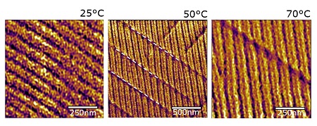 Domain walls at increasing temperature (please note different scales) | Image Noheda lab