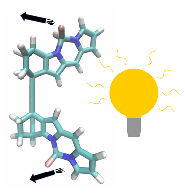 Nadat twee chromoforen gelijktijdig in een hogere energietoestand zijn gebracht door één foton stoten ze elkaar af door dipool interacties. Omdat de chromoforen aan elkaar vast zitten, beginnen ze te roteren rond de binding die ze bij elkaar houdt | Illustratie Thomas Jansen